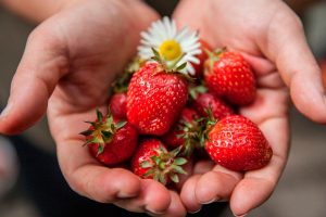 Alimentación saludable y sustentable