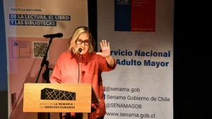 Renuncia subsecretaria de Cultura: Gobierno abrió sumario por firmar convenios con ONG donde trabajó