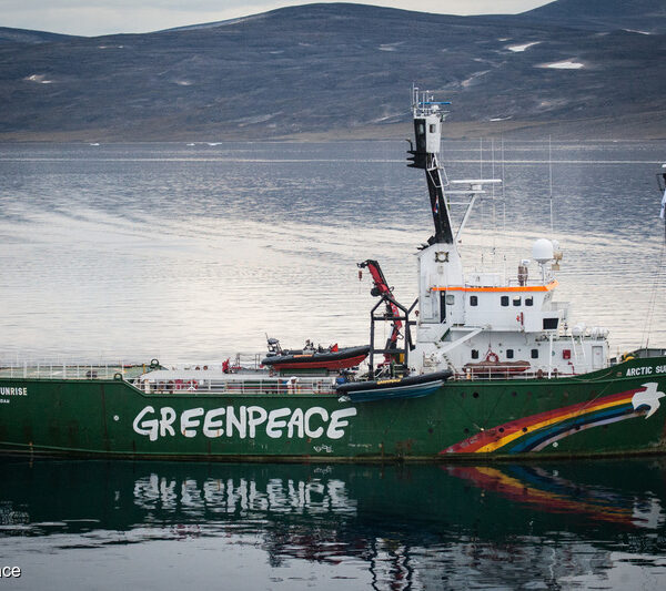 Greenpeace Anuncia la Construcción de un Nuevo Velero Ecológico