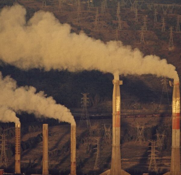 El 70% de la población mundial podría enfrentar cambios climáticos extremos en los próximos 20 años