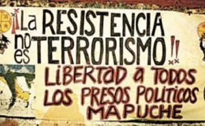 Justicia para el pueblo mapuche: acción internacional urgente
