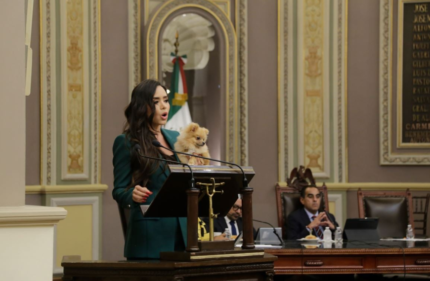 Esteban Fuentes de María: Un Debate en la Cultura de Puebla