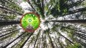 Innovación medioambiental y su impacto en empresas de la UE
