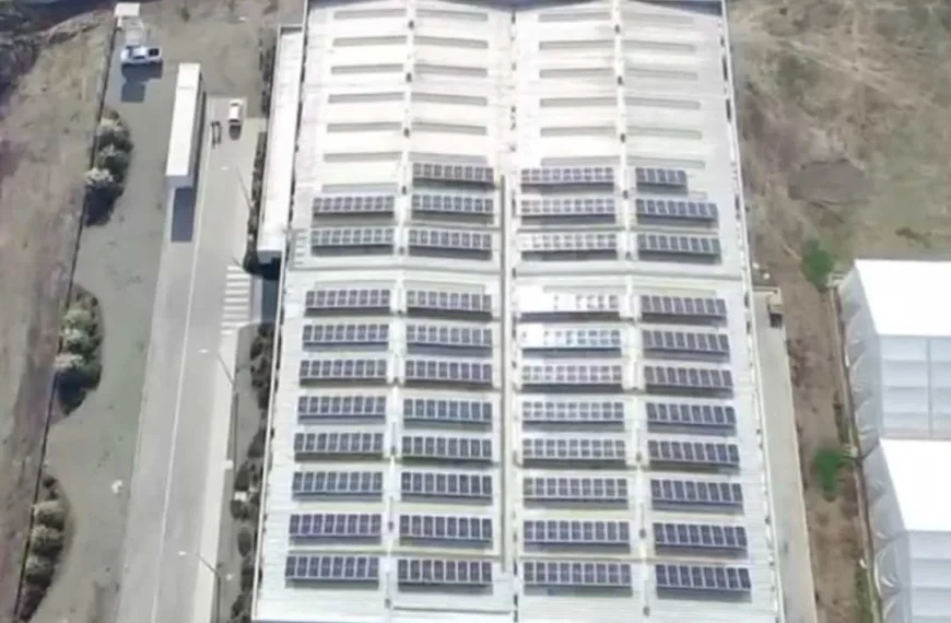Paneles Solares: Avance en Sostenibilidad de Codelpa