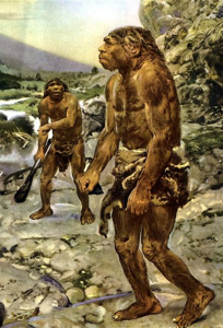 Neandertales: ¿Una Extinción por la Inversión de Polos?