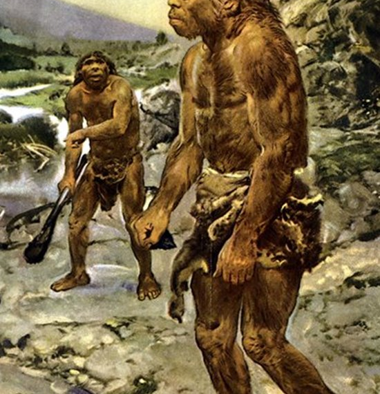 Neandertales: ¿Una Extinción por la Inversión de Polos?
