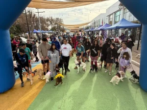 Corrida Canina: Celebrando el Amor por las Mascotas