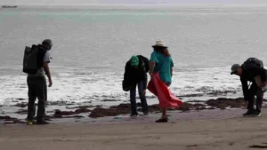 Contaminación de playas: un desafío urgente en Latinoamérica