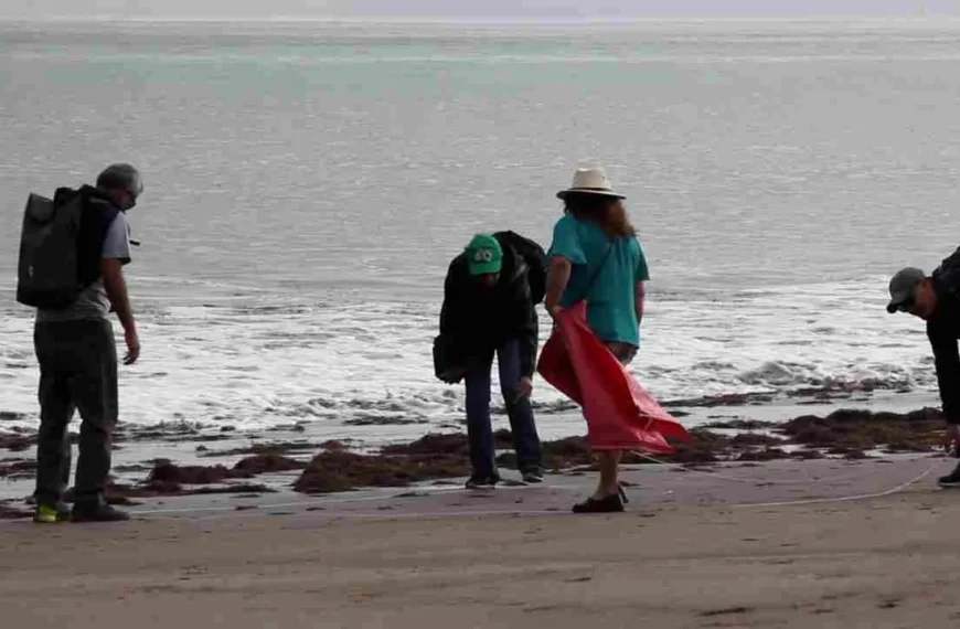 Contaminación de playas: un desafío urgente en Latinoamérica