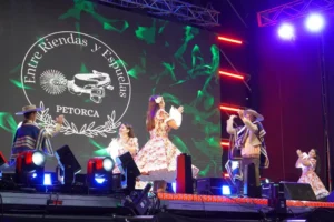 Proyectos culturales en Petorca: Iniciativas apoyadas