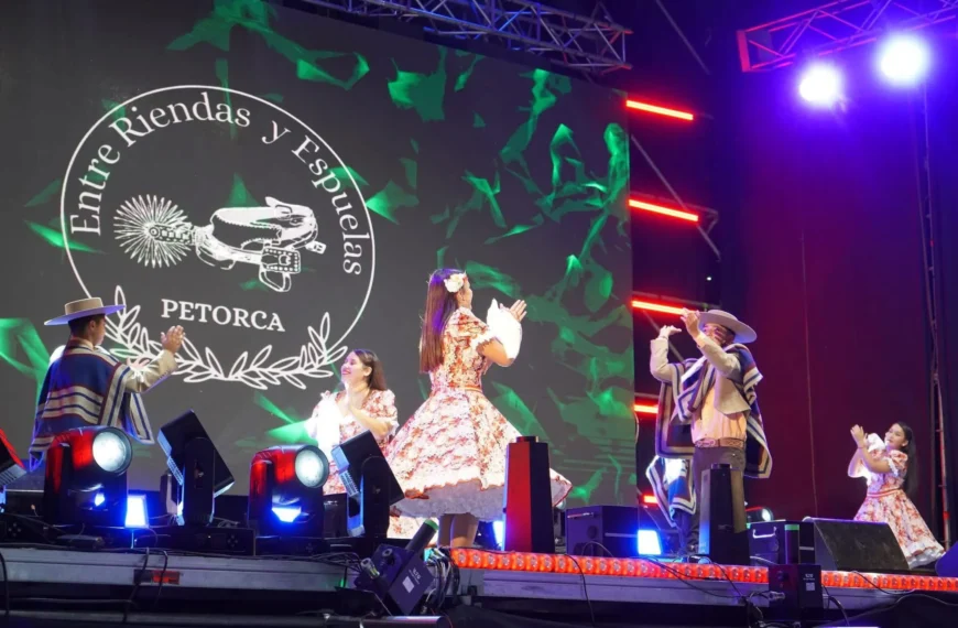 Proyectos culturales en Petorca: Iniciativas apoyadas