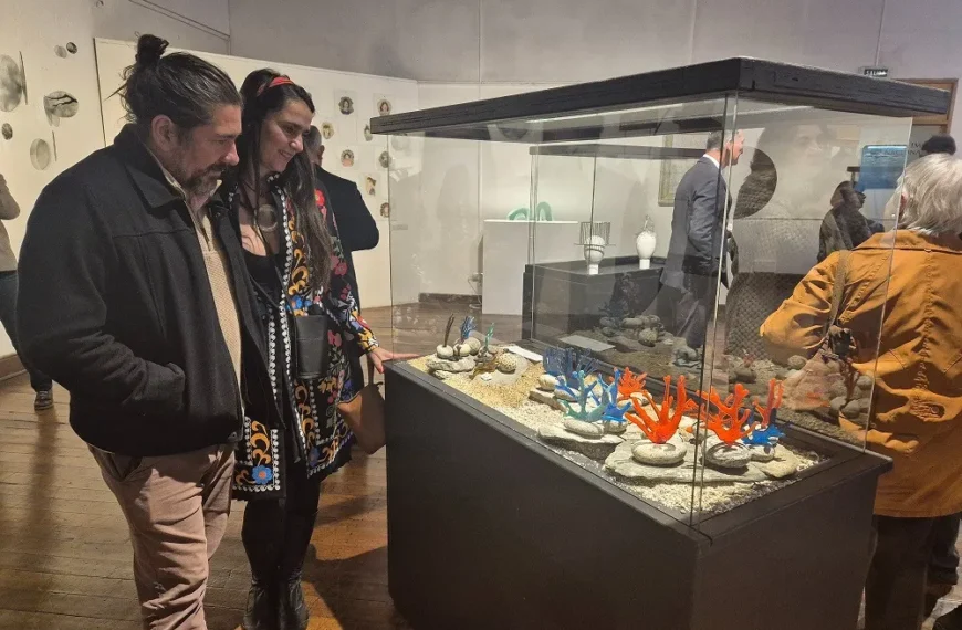 Veo Vidrio Valparaíso: Arte, Reciclaje y Sostenibilidad
