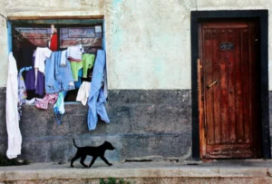 Certamen fotográfico Valparaíso: Captura su esencia