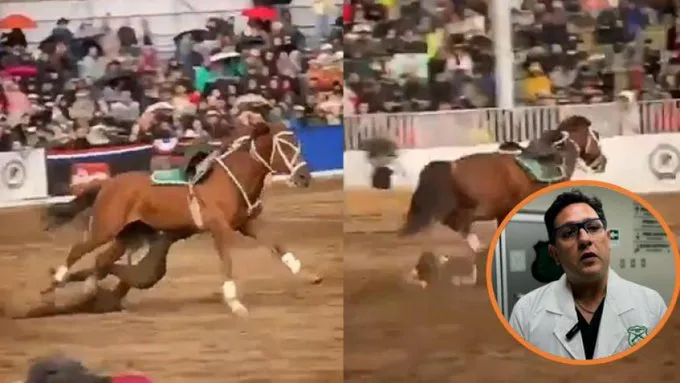 Accidente Carabinero en Exhibición Ecuestre en Chile