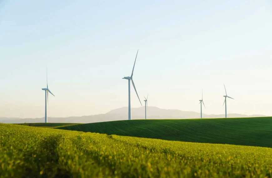 Hidrógeno Verde: El Futuro Energético de Chile