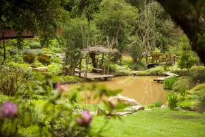 Tucanes en Parque Tricao: Nueva Atracción Primaveral