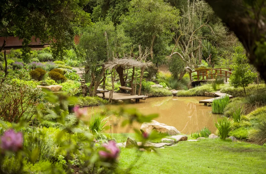 Tucanes en Parque Tricao: Nueva Atracción Primaveral