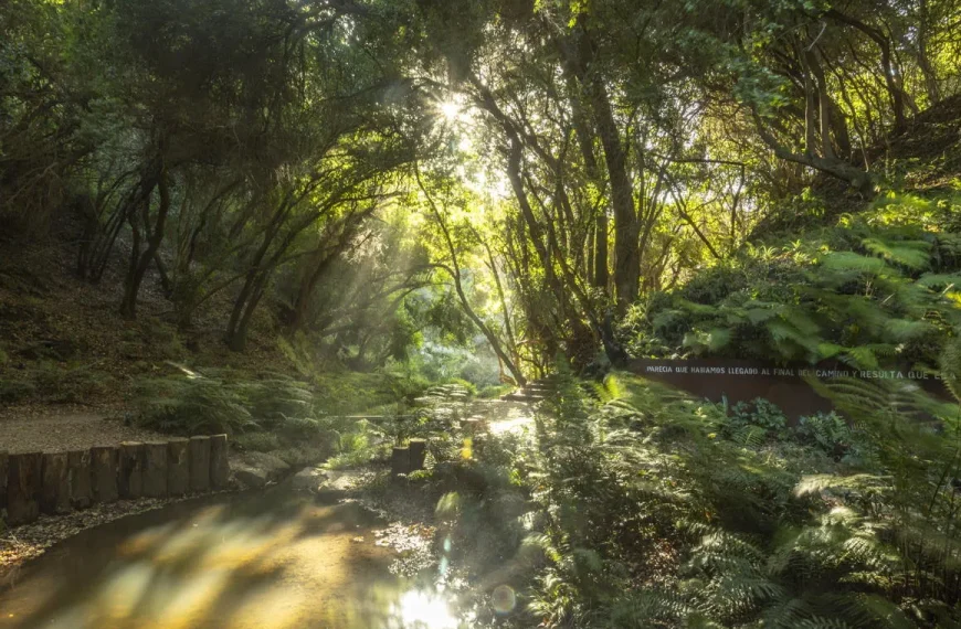 Parque Tricao: Conectando con la Naturaleza en Primavera