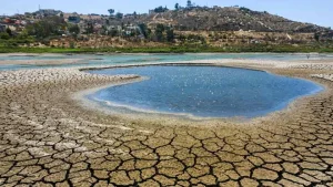 Gestión hídrica en América Latina: Un camino hacia la sostenibilidad