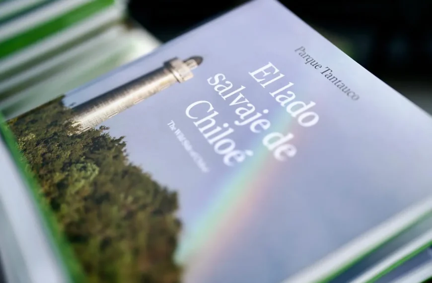 Parque Tantauco: 20 Años de Conservación y Naturaleza