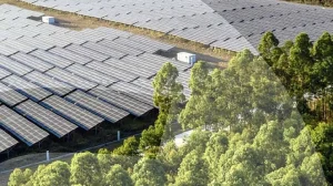 Reciclaje de paneles solares: planta en Granada abre camino