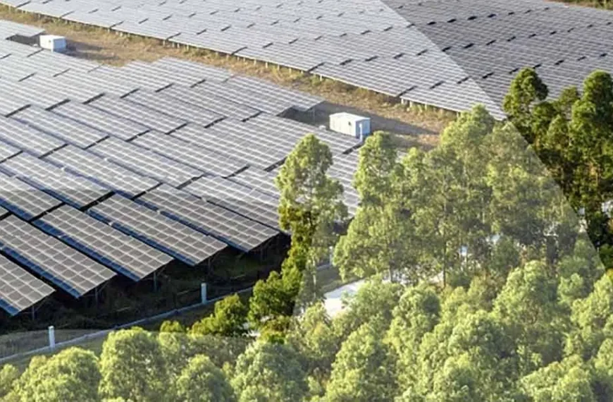 Reciclaje de paneles solares: planta en Granada abre camino