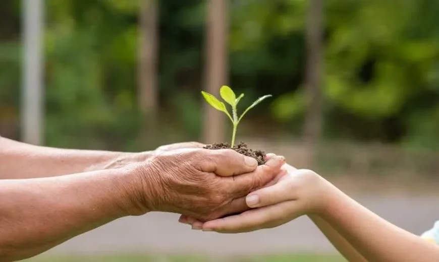 Inversión en Conservación: Claves para el Éxito