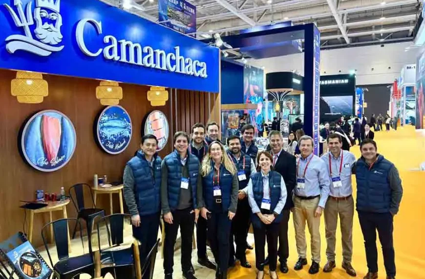 Proteínas Marinas: Calidad y Sostenibilidad en Camanchaca