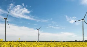 Hidrógeno Verde: El Futuro Energético en Magallanes