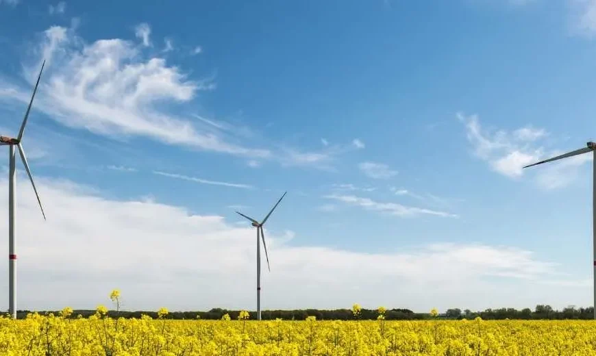 Hidrógeno Verde: El Futuro Energético en Magallanes