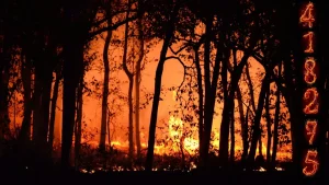 Incendios forestales España: un reto creciente en 2025