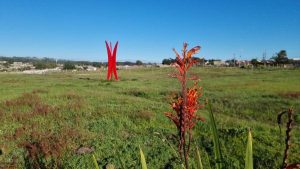 Encuentro de Escultura en Vivo: Arte y Cultura en El Quisco