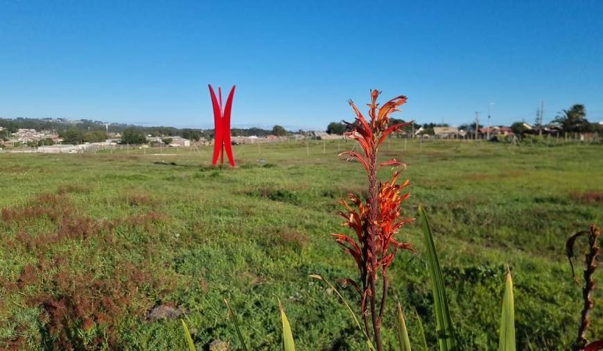 Encuentro de Escultura en Vivo: Arte y Cultura en El Quisco