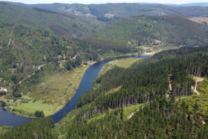 Vista área, programa Paisajes Productivos Protegidos de Celulosa Arauco