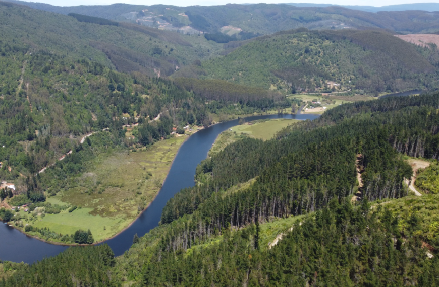 Vista área, programa Paisajes Productivos Protegidos de Celulosa Arauco