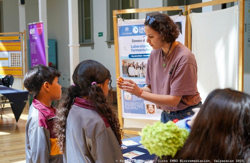 Día Internacional de la Mujer y la Niña en la Ciencia: Feria Familiar en Valparaíso