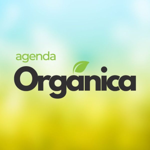 Electromovilidad en Chile: Un Futuro Prometedor en el Transporte