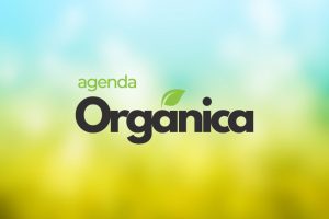 Gobernanza corporativa: ¿están los directorios chilenos listos?