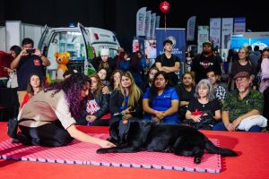 Expo Mascotas: Un Encuentro Imperdible para Amantes de Animales