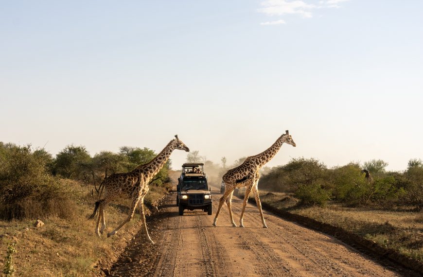 Viajes a África: Un Destino Impresionante Para Recuerdos Únicos