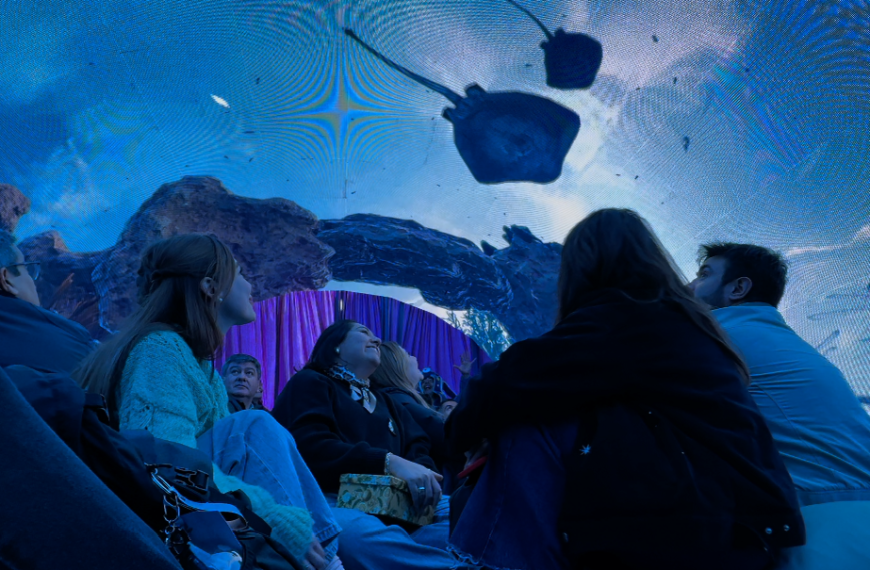 Explora Open: Una increíble experiencia inmersiva en La Calera