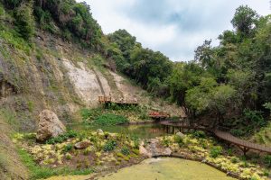Parque Tricao: Un Refugio Natural para Vacaciones de Invierno