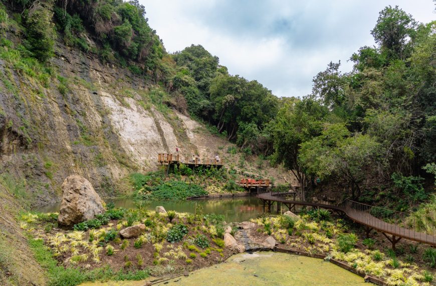 Parque Tricao: Un Refugio Natural para Vacaciones de Invierno