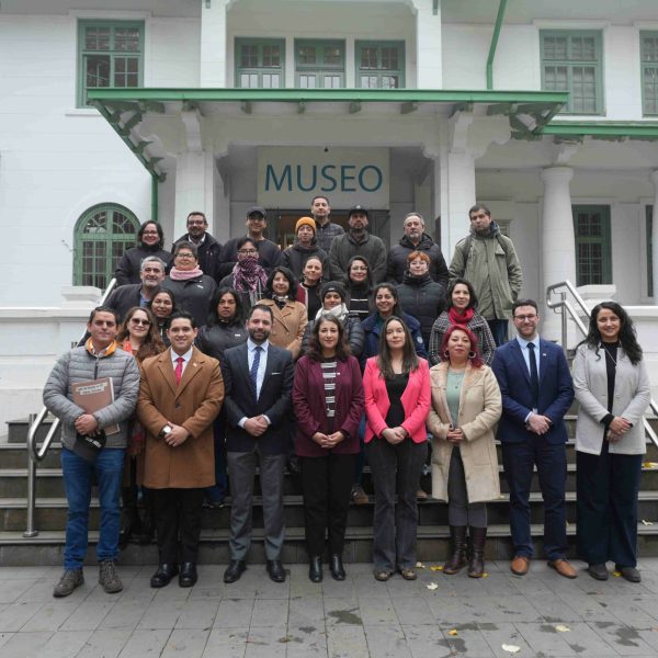 Financiamiento de organizaciones culturales en La Araucanía: Impulso y Oportunidades