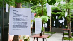 Concurso Cuenta Tu Cuento: Novelistas Amateurs Compiten por Grandes Premios