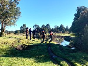 Protección de Monte Verde: Cómo se Protege Un Patrimonio Único