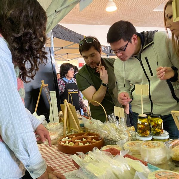 Cerro de Sabores: Descubre el Sabor y Tradición de Valparaíso