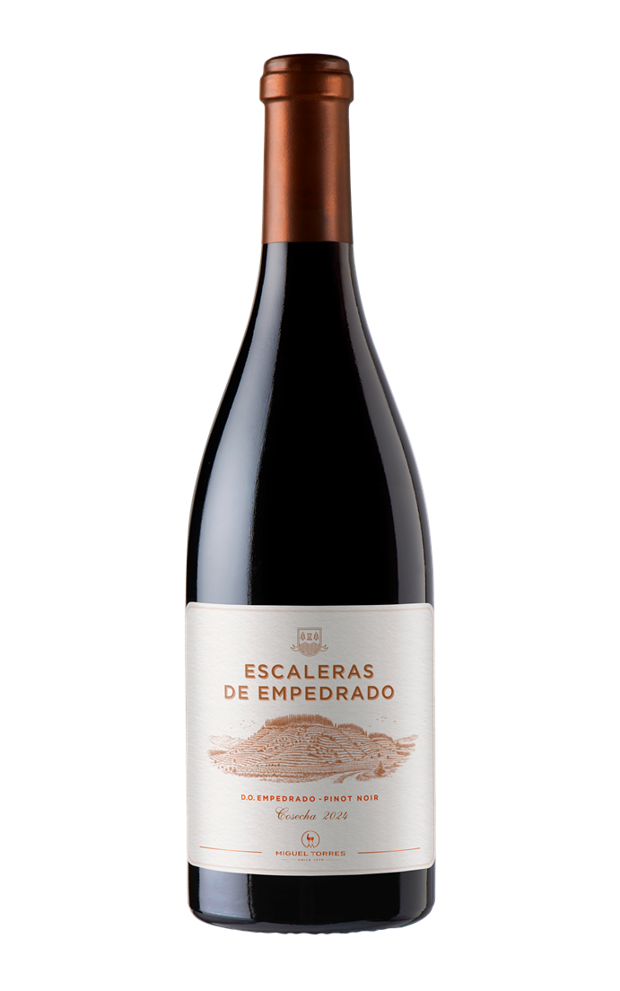 Escaleras de Empedrado: El Mejor Pinot Noir de Chile Revela su Secreto